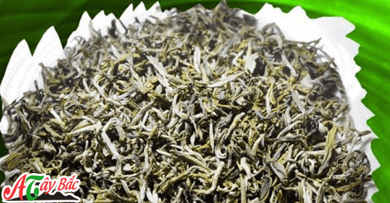 Chè Ta Xùa Bắc Yên