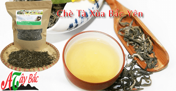Chè Tà Xùa Bắc Yên món quà ý nghĩa dành tặng trong dip Tết Chè Tà Xùa Bắc Yên món quà ý nghĩa dành tặng trong dip Tết