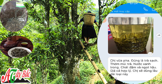 Chè tà xùa thơm ngon chuẩn chỉ có ở Ẩm thực Tây Bắc