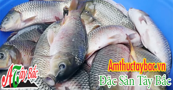 Chọn những con cá tươi ngon cho món cá gác bếp 