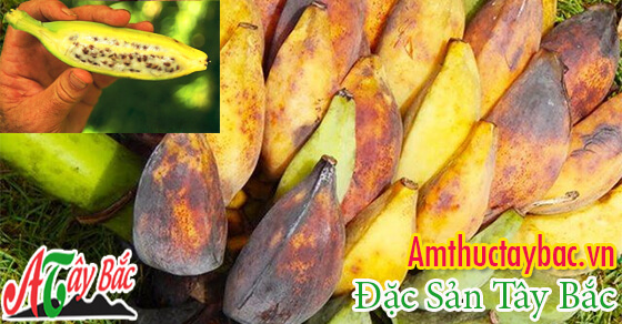 Chuối hột rừng khi chín có màu vàng ươm, vị ngọt lịm