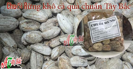 Sản phẩm chuột hột khô Tây Bắc ngâm rượu rất bổ dưỡng