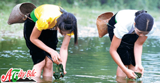 co gai di nhat reu da