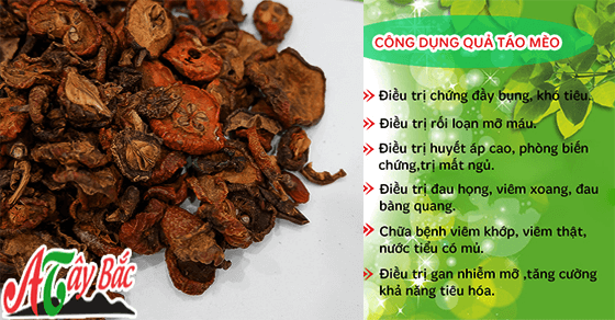 Táo mèo khô mang đến rất nhiều công dụng cho sức khỏe Táo mèo khô mang đến rất nhiều công dụng cho sức khỏe