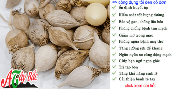 cong dung toi co don phu yen son la