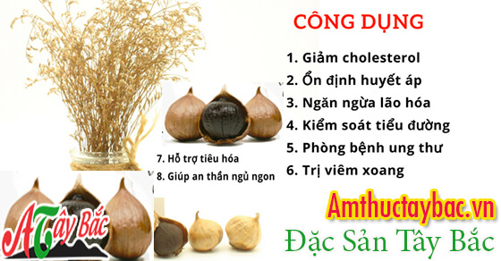 Tỏi đen cô đơn bổ dưỡng và tốt cho sức khỏe