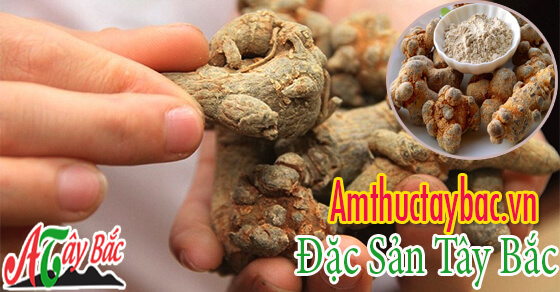 Củ tam thất thường có màu vàng nhạt đặc trưng