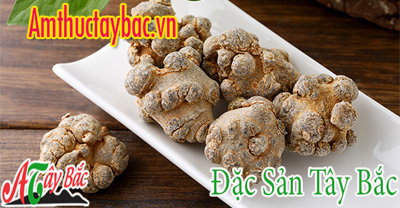 Củ tam thất thường có hình dạng xù xì