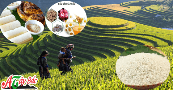 dac san gao tay bac