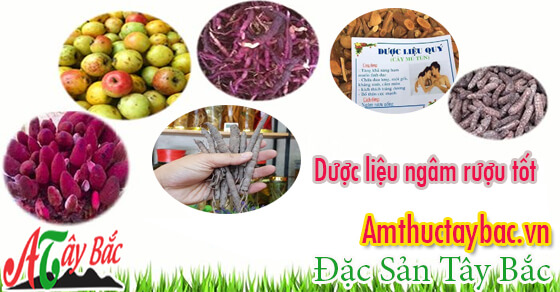 Tây Bắc có rất nhiều loại đặc sản quý để ngâm rượu Tây Bắc có rất nhiều loại đặc sản quý để ngâm rượu
