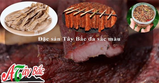 dac san vung cao tay bac 10 11