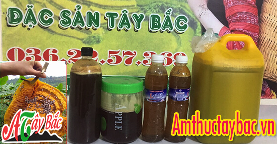 Địa chỉ bán mật ong rừng Địa chỉ bán mật ong rừng