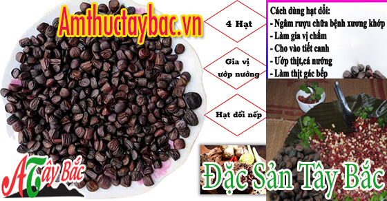 Địa chỉ cung cấp hạt dổi uy tín