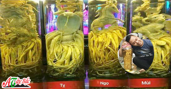 dinh lang dieu khac 23