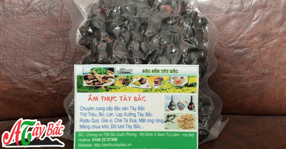 Những hạt dổi rừng thơm ngon quyến rũ