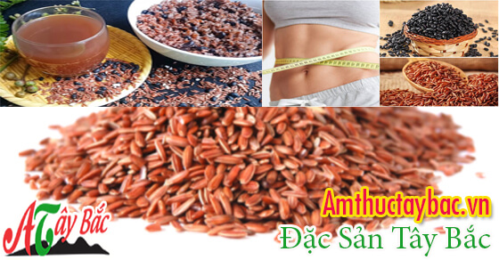 Gạo lứt huyết rồng chứa nhiều thành phần dinh dưỡng