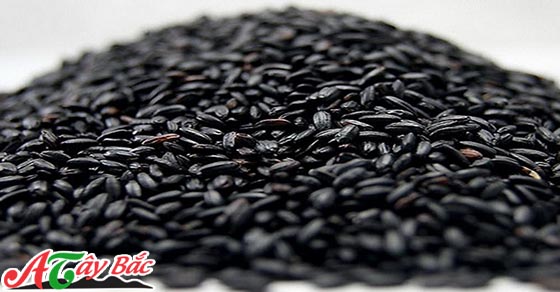 Gạo nếp cẩm nương mẩy, dài, căng bóng 