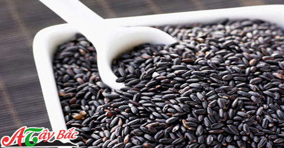 gao nep cam nuong dam da ban sac nui rung tay bac 3