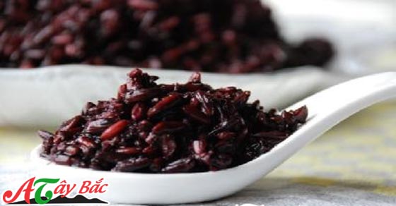 Gạo nếp cẩm nương, đặc sản của vùng Tây Bắc 