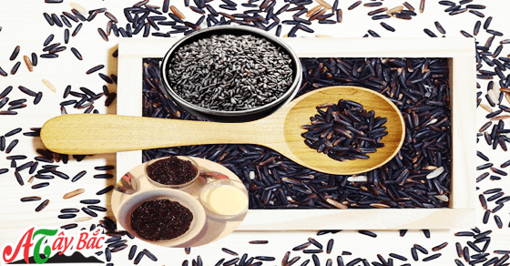 Gạo nếp cẩm nương Tây Bắc có rất nhiều công dụng cho sức khỏe Gạo nếp cẩm nương Tây Bắc có rất nhiều công dụng cho sức khỏe
