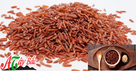 gao nut do ngon tai ha noi