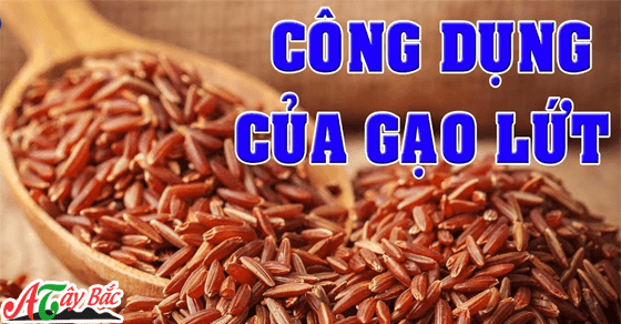Công dụng của gạo Lứt không phải ai cũng biết