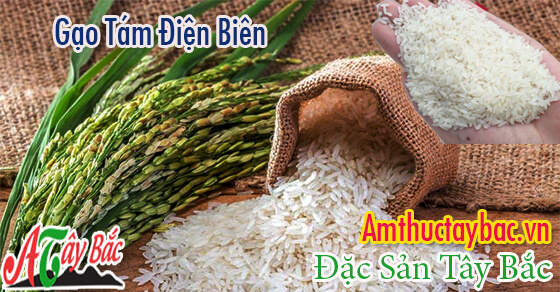 gao tam dien bien amthuctaybactai hanoi