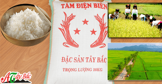 Gạo Tám điện biên ăn một lần là nhớ đến vị thơm đặc trưng của vùng cao