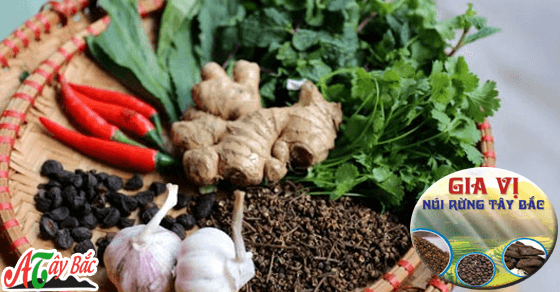 Ẩm thực Tây Bắc chuyên cung cấp những gia vị chuẩn của vùng cao Ẩm thực Tây Bắc chuyên cung cấp những gia vị chuẩn của vùng cao
