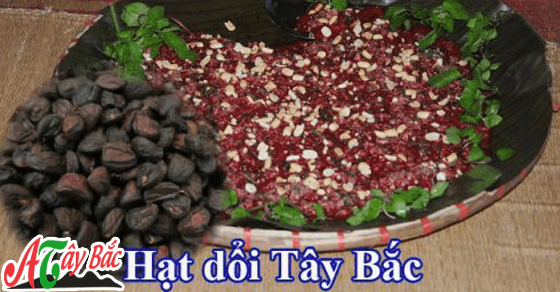 hat doi rung 500x343 1