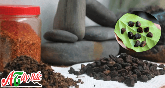 Hạt dổi rừng một loại gia vị không thể thiêu khi nhắc đến Ẩm Thực Tây Bắc