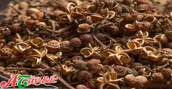 Mắc khén một gia vị không thể thiếu trong mỗi bữa cơm Tây Bắc