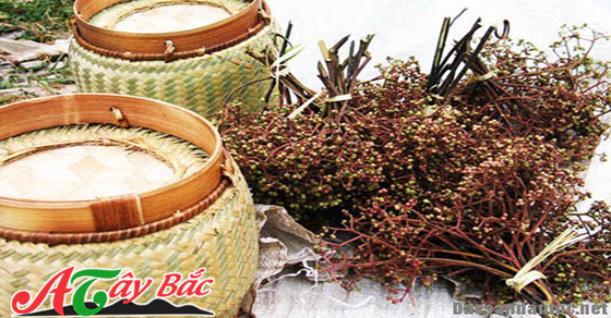 hat mac khen gia vi noi tieng huong thom nui rung tay bac