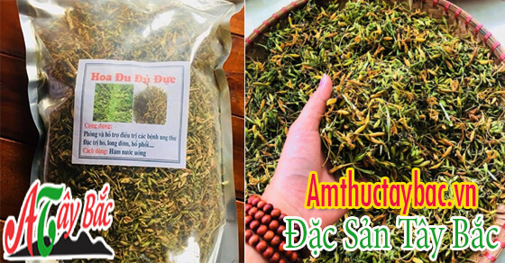 Hoa đu đủ đực khô