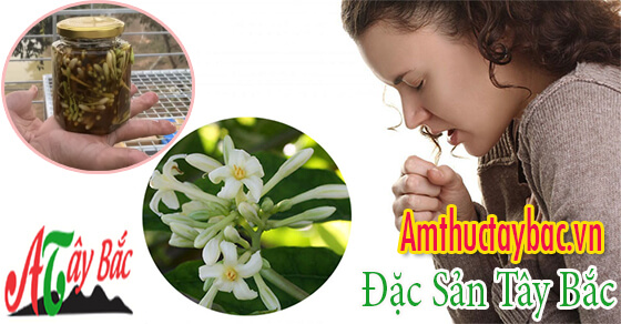 hoa du du ngam mat ong tri ho tot