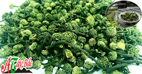 Nhụy hoa tam thất mang đến nhiều công dụng Nhụy hoa tam thất mang đến nhiều công dụng