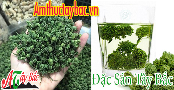 Nụ hoa tam thất thường có màu xanh đậm Nụ hoa tam thất thường có màu xanh đậm