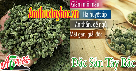 Hoa tam thất là gì Hoa tam thất là gì