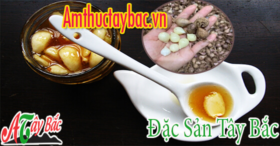 Hỗn hợp tỏi cô đơn hấp với mật ong Hỗn hợp tỏi cô đơn hấp với mật ong