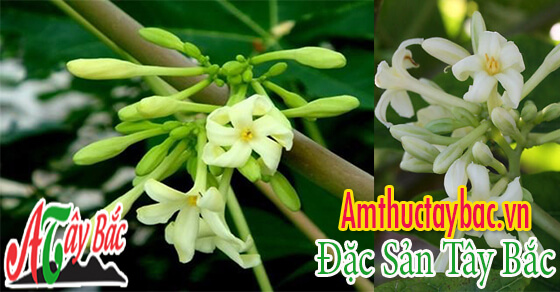 huong thom cua hoa du du duc tai amthuctaybacvn