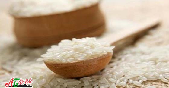 Hạt gạo căng mẩy, bóng đều tăm tắp