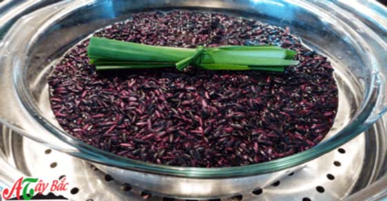 kham pha gao nep cam nuong thom deo cua vung cao tay bac