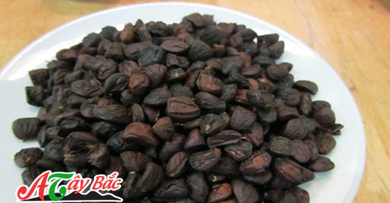 Hạt dổi là loại gia vị nâng tầm cho ẩm thực Tây Bắc