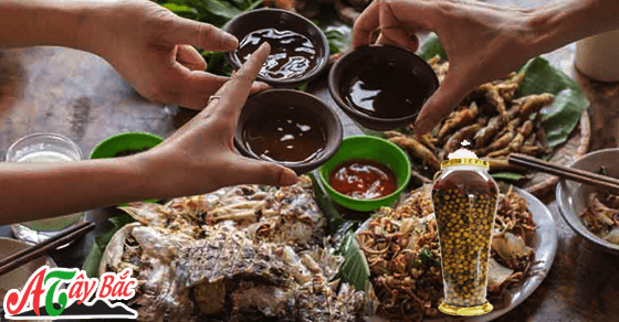 Rượu táo mèo ngon nhất chỉ có Tại Ẩm Thực Tây Bắc