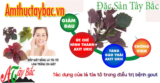 Tía tô rất tốt cho cơ thể