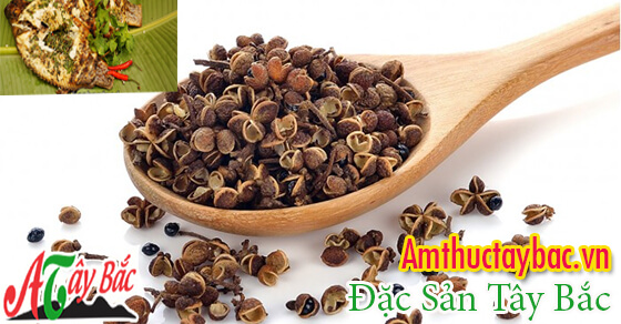 Tây Bắc mang đến rất nhiều loại gia vị rừng độc đáo