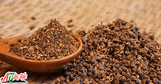 Hạt mác khén linh hồn Tây Bắc