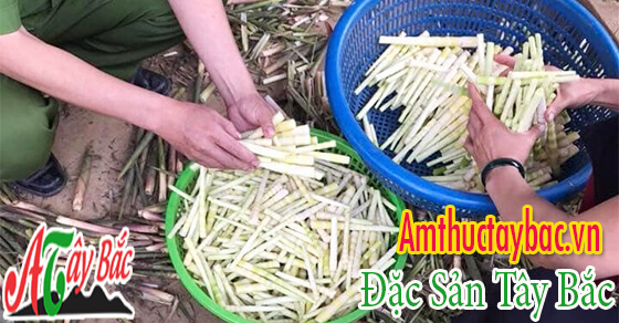 Măng sặt loại 1 thường có búp mẩy, trắng 