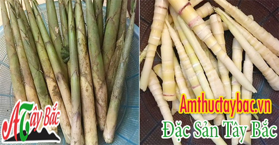 Măng sặt thường có ruột trắng nõn nà