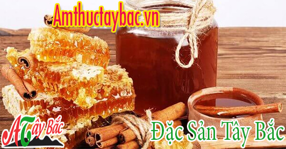 Mật ong – dược liệu thiên nhiên ban tặng cho con người